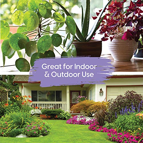 image for Bangerz Sunz Elephant Watering Can, 2 qts, Novelty Indoor Watering Can