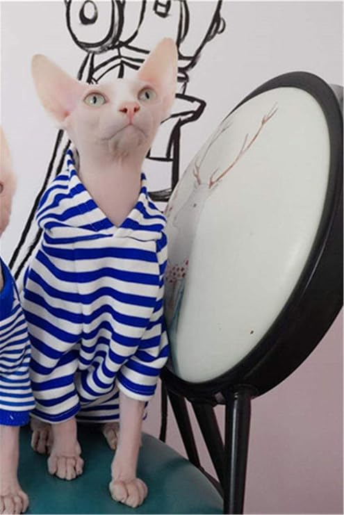 Zhihan Chat Sans Poil Automne Et Hiver Vetements En Velours Sphinx Chapeau Xs Amazon Fr Animalerie Zhihan Chat Sans Poil Automne Et Hiver Vetements En Velours Sphinx Chapeau Xs Amazon Fr Animalerie