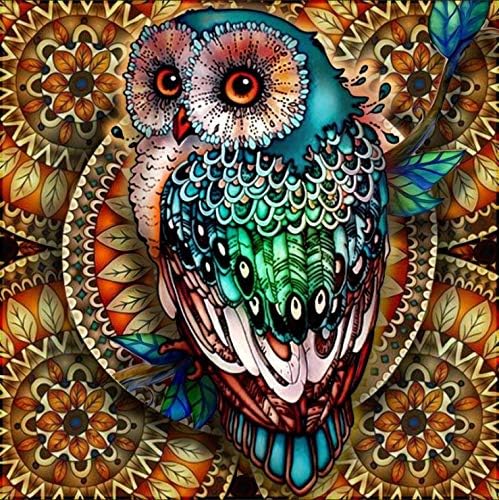 Koolife Diy 5d Diamond Painting Kits For Adults Kids Owl Full Drill Diamond Painting By Number Kits Arts For Home Decor 11 8x15 7 Inch Pricepulse