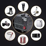 LVYUAN 1000W Voltage Transformer 220V to 110V UK to US Dual Sockets view 6