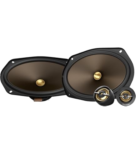 Amazon.com: PIONEER A-Series MAX TS-A693FH 6” x 9” 2-Way