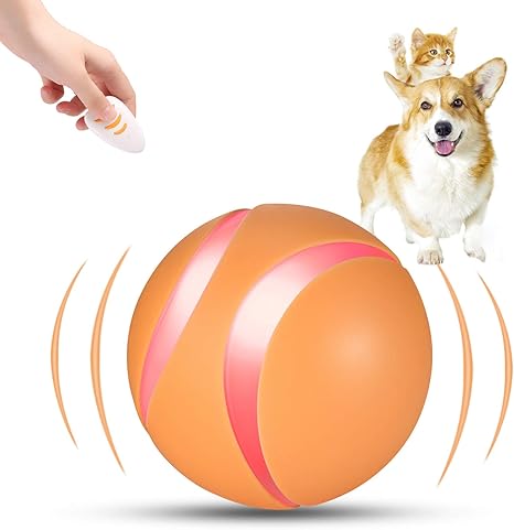 remote control ball for dogs