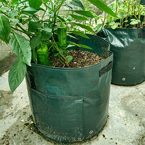 Wuyue Hua 2 Bolsas de Cultivo de Patata, Impermeables, de ...