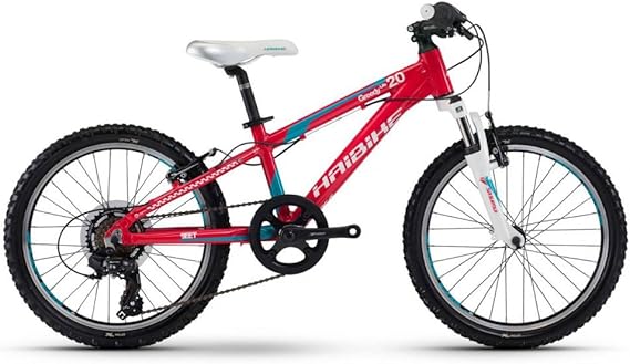 haibike junior