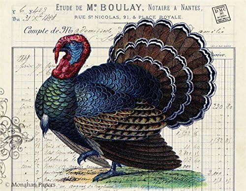 Thanksgiving Placemats Paper Placemats Disposable Placemats for Dining Table Mats Pk 50 Turkey