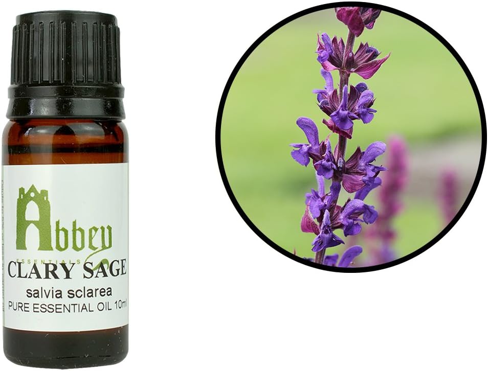 Abbey Essentials Clary Sage Essential Oil with Balsamic Aromatic Smell and is Mildly Antiseptic an Uplifting Tonic Warming and Relaxing 25 ml