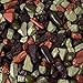 Army Camo Mix Chocolate Rocks Candy Nuggets 1LB Bag