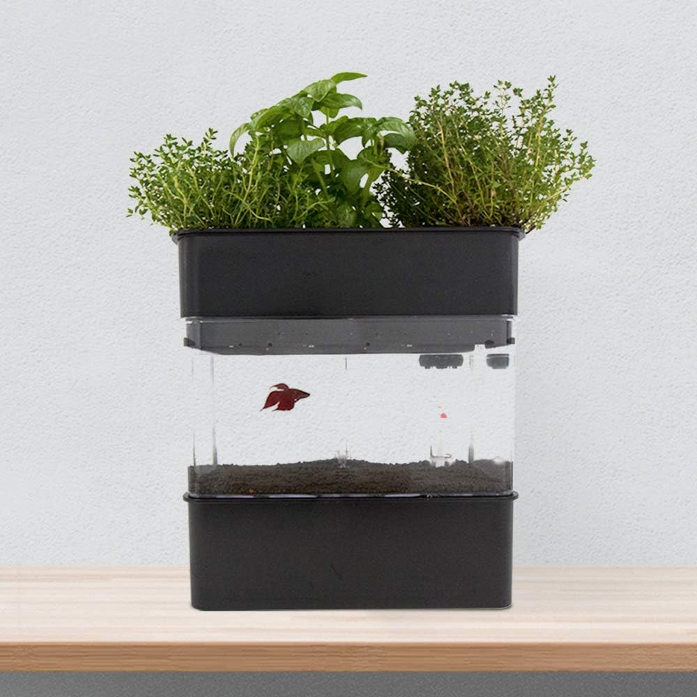 Sistema de Acuaponía para la cría de Peces y Cultivo de Plantas ...