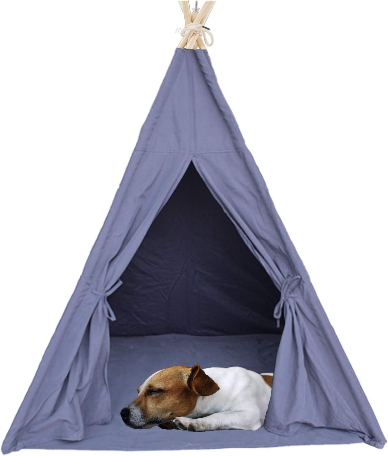 dog teepee petco