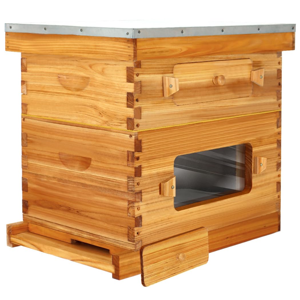 BeeCastle 8 Frame Langstroth Beehive, Beeswaxed