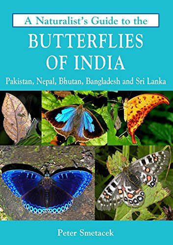 A Naturalist's Guide to the Butterflies of India (Naturalist's Guides)