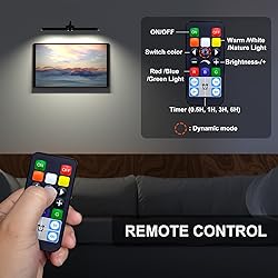 Picture Light with Remote, Led Accent Light