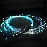 First Generation Bitwhip Ants On A Melon Light Painting Diy Led Fiber Optics Led Lights Light In The Dark Fibre Optics Light Photography