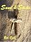 Livro SAND AND STICKS - OS CINCO ELEMENTOS