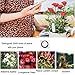 Xiaomi Moisture Mter Light Soil Testing Kit For Gardens International version