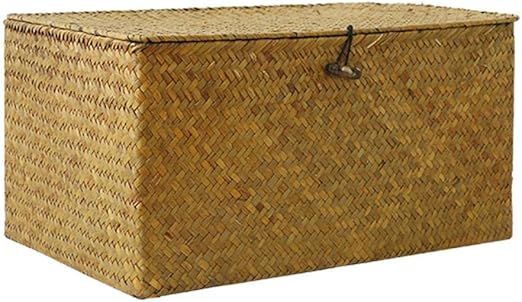 Eayse Aufbewahrungsbox mit Deckel - Aufbewahrungskorb aus Seegras, Groß