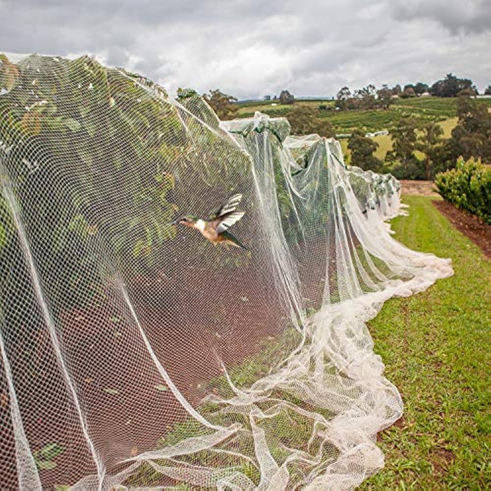 4 M X 10 Anti Bird Protection Net Garden Plant Mesh Netting Fruit Trees