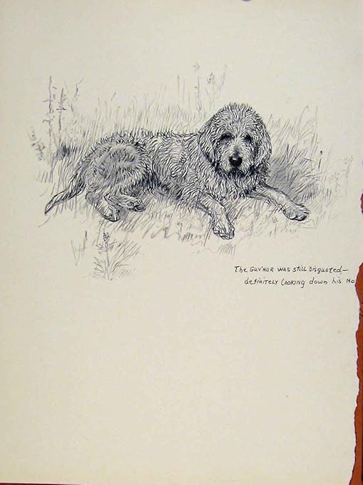 Dessin Au Crayon Dégoûté De Croquis Danimal Familier De