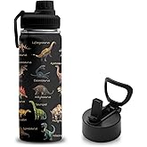 Dinosaur Gifts for Boys, 18 oz Stainless Steel Water Bottles with 2 Lids, Insulated Water Bottle with Straw, Dinosaur Cups for Travel Sports Outdoor, Birthday Christmas Gifts for Boys Dino Lovers