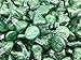 Hershey's Kisses, Milk Chocolate in Light Green Foils (Pack of 2 Pound)