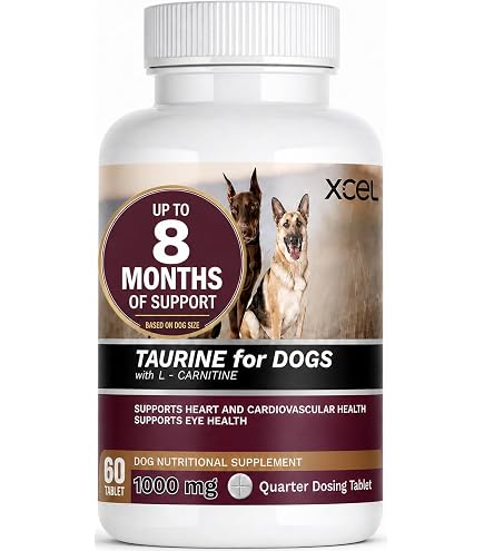 Amazon.com : Taurine for Dogs, Heart Function & Energy Support, L-Carnitine Tablets