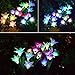 Solar Garden Stake Lights - 2 Pack Outdoor Solar Powered Lights with 8 Lily Flower, Multi-Color Changing LED Solar Decorative Lights for Garden, Patio, Backyard Decor (Purple & White)