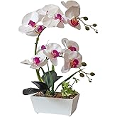 NMAIYA White Orchids Artificial Flowers Fake Orchid in Pot Phalaenopsis Flower Large Faux Orchid Plant Real Looking Fake Flowers Table Decor for Living Room Centerpieces Indoor Bathroom Plants