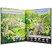 Jurassic World Look and Find Activity Book - PI Kids