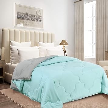 Amazon Com Ancaixin Spring Lightweight Queen Comforter Down