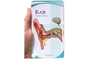 Blue Tree Publishing Ear Anatomy Pocket Charts