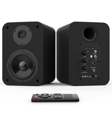 Amazon.com: BESTISAN Active Bookshelf Speakers for Record Player