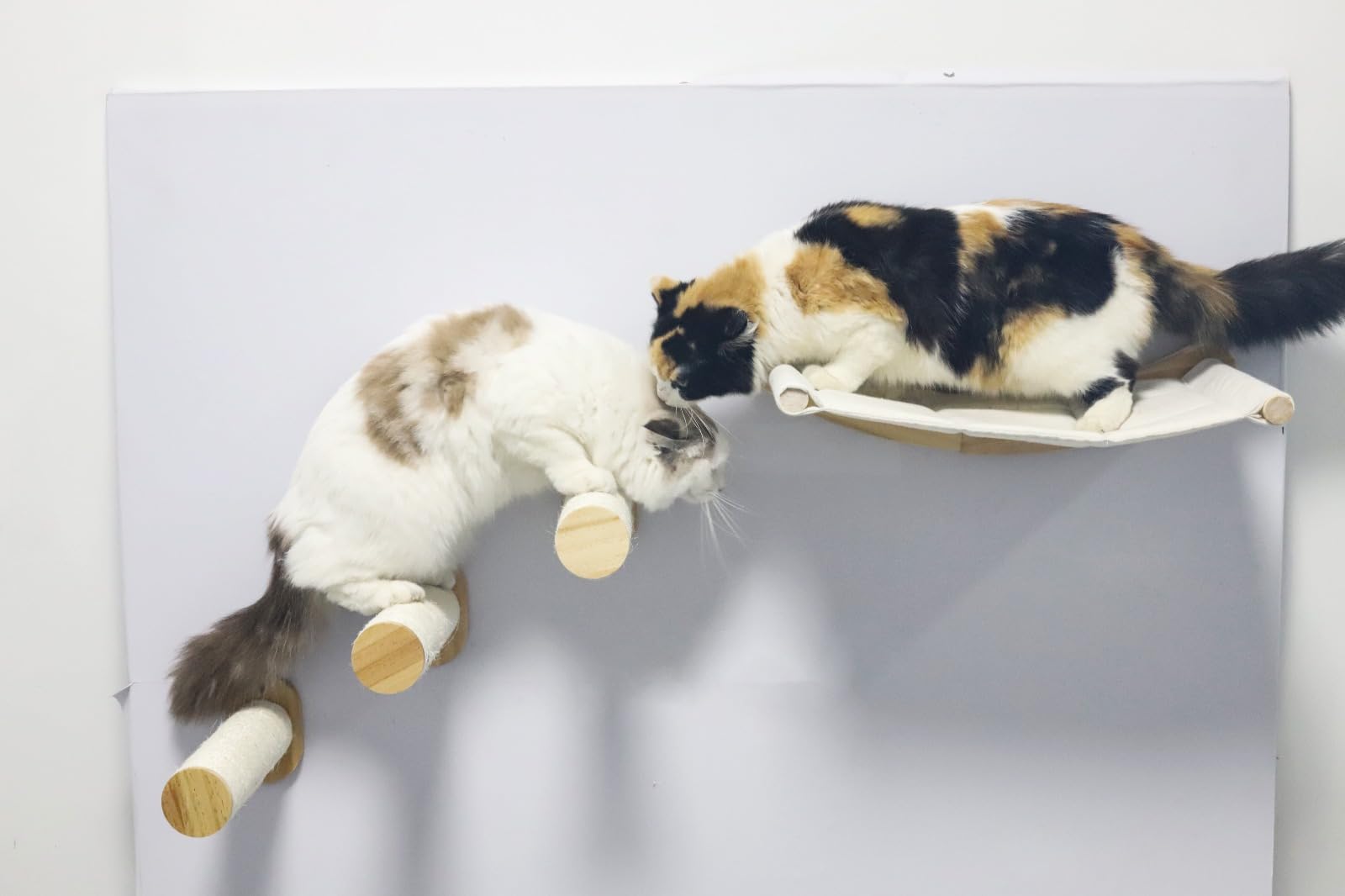 Qivutule Wall-Mounted Perch Set – Wooden Steps & Fabric Platform, Wall Furniture & Bed Shelf for Indoor Pets, Includes Wand Toy for Exercise & Fun