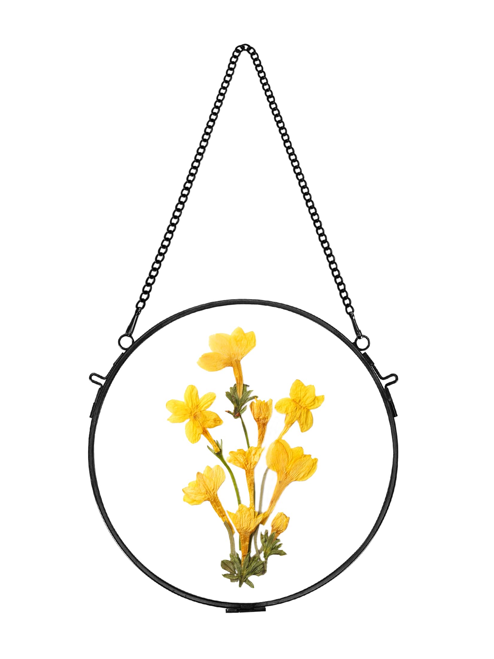 Photo 1 of REDHUGO Glass Frame for Pressed Flowers Handmade, Wall Hanging Brass Floating Frame, Double Glass Round Picture, Glass Frame for Dried Flowers Poster Home Wall Decor, Circle, Black (FRAME ONLY)