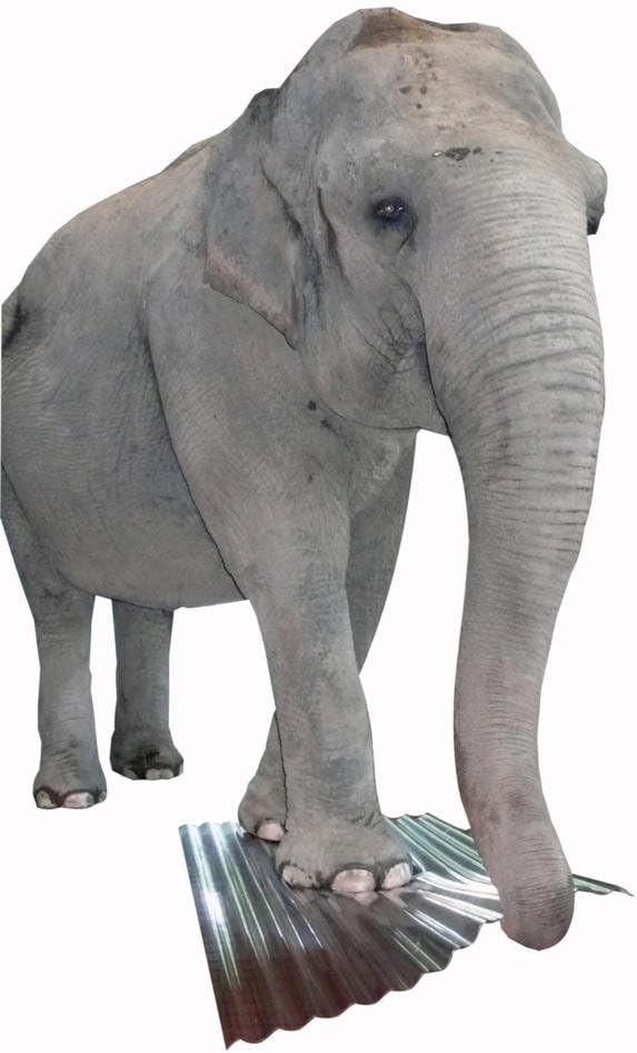 Robex elefantenplatte