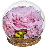 roliys Preserved Real Rose in a Circular Glass Cover,with Wooden Base, a Gift for Valentine's, Mother's Day Christmas, Anniversary, Girlfriend Birthday, 1 pcs 4 inch(Pink)