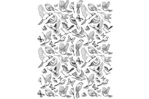 Ceramic Decals - Birds and Butterfly (Black, 19 x 13 inch)