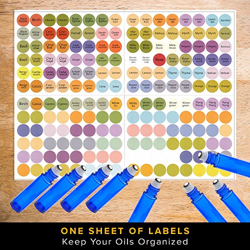 image for MP 8 Glass Stainless Steel Roller Bottles - 8 Pack Cobalt Blue 10ml - 