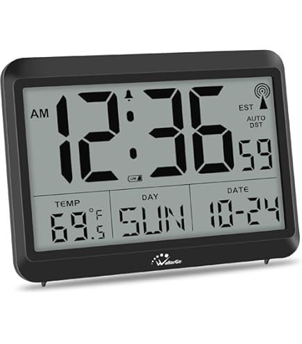 Amazon.com: CONTROL Traceable 1076 Digital Radio Atomic Wall