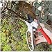 Ratchet Pruning Shears - Sharp Garden Hand Pruners - Easy Ratcheting Action - Best Anvil Gardening Secateurs for Small to Medium Jobs - Simple to Lock or Unlock - 100%