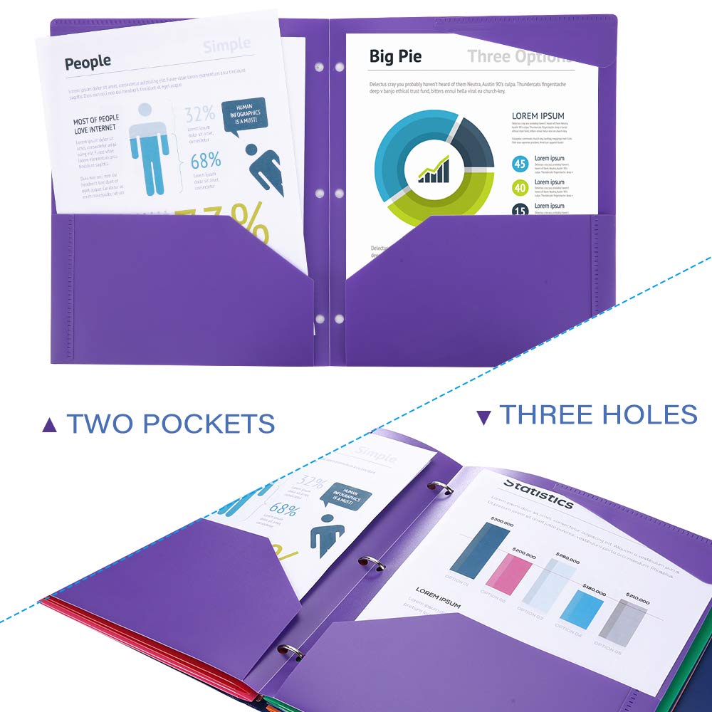 Plastic Folders with Pocket and 3 Hole 12PCS Heavy Duty 2 Pocket Plastic Folders Letter Size Folders with Pockets 3 Hole Punched