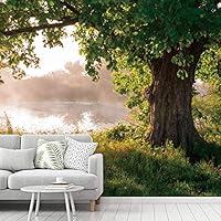 Wall Mural Foggy Forest Removable Self-Adhesive Wallpaper Wall Decoration for Bedroom Living Room - 66x96 inches