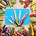 Kitchen Knife, Aikitco 8-Piece Color Knife Set- Includes 5 Cooking Knifes with 3 Bonus Gift - Chef Knife, Bread Knife, Slice Knife, Utility Knife and Pairing Knife