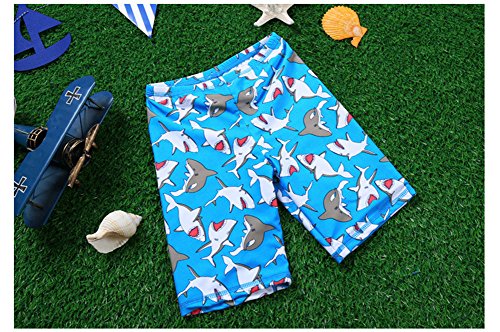 Monvecle Little Boys' 3-Pieces Shark Rash Guard Swimsuits UPF 50+ Sun Protection Swim Set Blue 7-8Y
