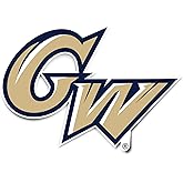 Desert Cactus George Washington University GW Vinyl Decal Laptop Water Bottle Car Scrapbook Sticker (IND 24)