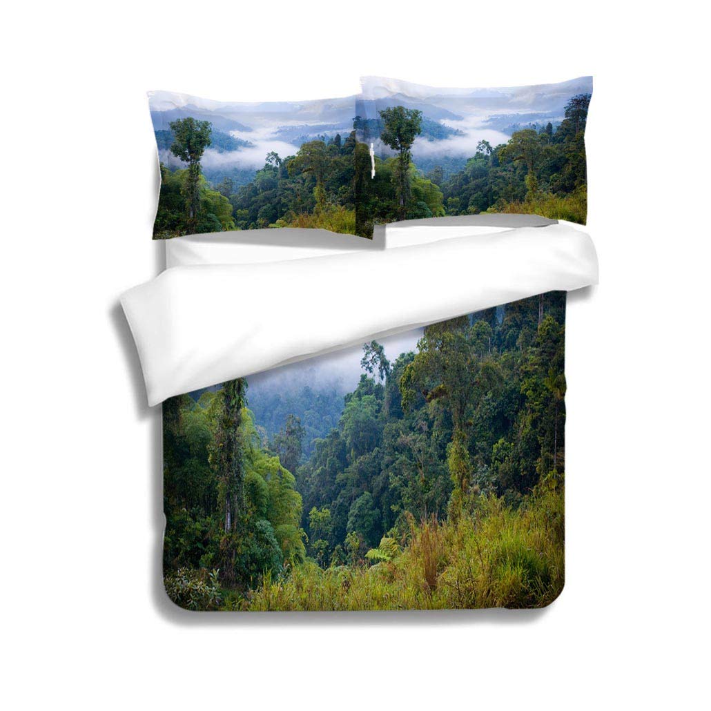 Best Amish Canopy Bedding