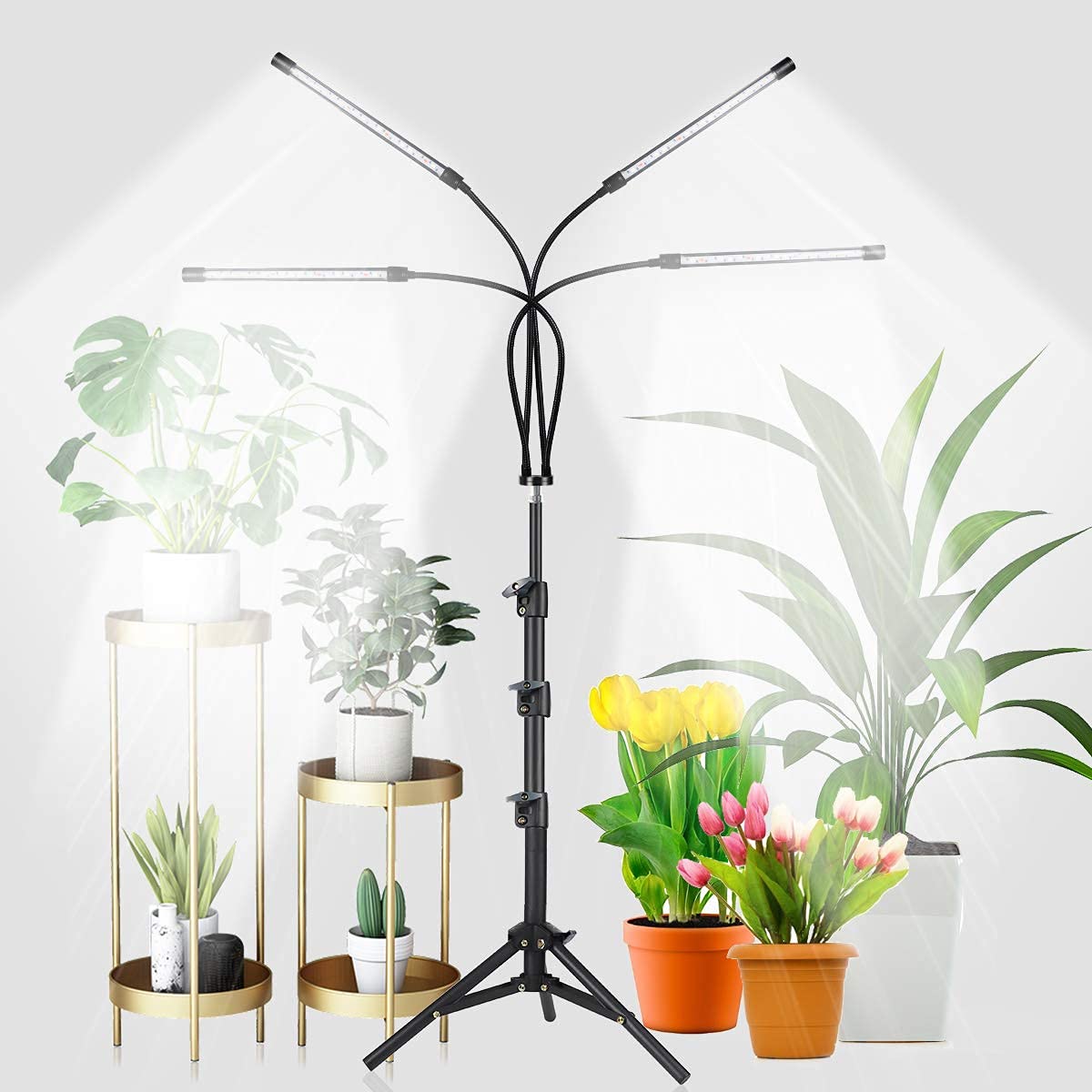 Sleek modern plant lighting