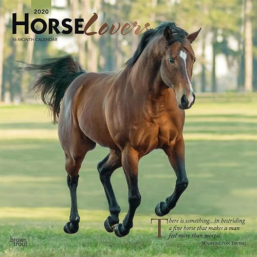 Download Horse Lovers 2020 Calendar: Foil Stamped Cover PDF