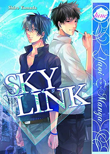 Sky Link (Yaoi) Sky Link (Yaoi)