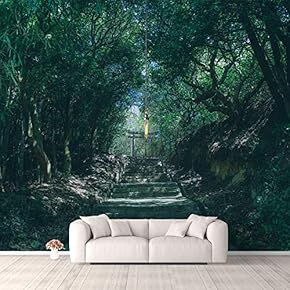 Wall Murals for Bedroom Fantasy View Mystery Collage Removable Wallpaper Peel and Stick Wall Stickers - 66x96 inches
