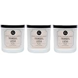 DW HomeTranquil Lotus Richly Scented Candle Small Single Wick 4 Oz (pack of 3)